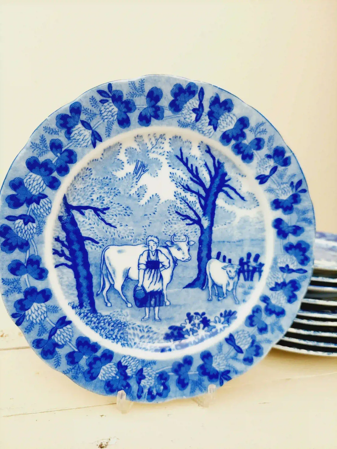 Ontbijtbord met landelijk decor, blauw wit porselein