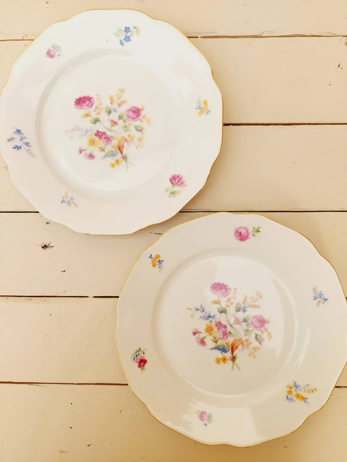 Vintage gebaksborden Haas &amp; Czjek, met verfijnde bloemen, set van 2
