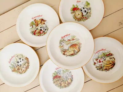 Vintage kaasborden Bareuther Waldsassen, Franse kazen, elk bord is verschillend, set van 6
