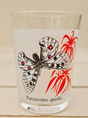 Retro drinkglazen Vlinders - set van 6