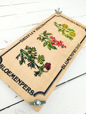 Vintage bloemenpers - brocante herbarium / bloemen drogen -hout - 30 x 15 cm