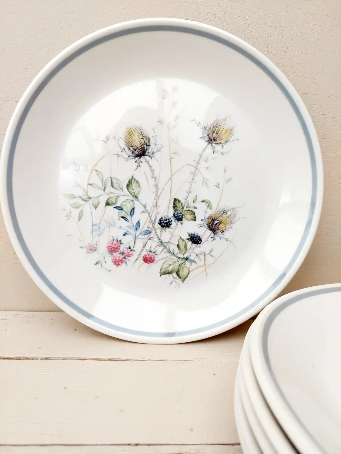 Dinerbord van Royal Albert, decor Wild Briar. Fijn Engels porselein met romantische bloemendecoratie en subtiele grijze rand.