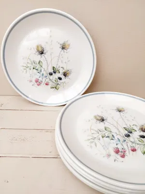 Dinerbord Royal Albert Wild Briar, 26 cm