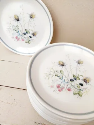 Dessertbord Royal Albert Wild Briar, 17 cm