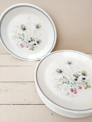 Dinerbord Royal Albert Wild Briar, 22 cm