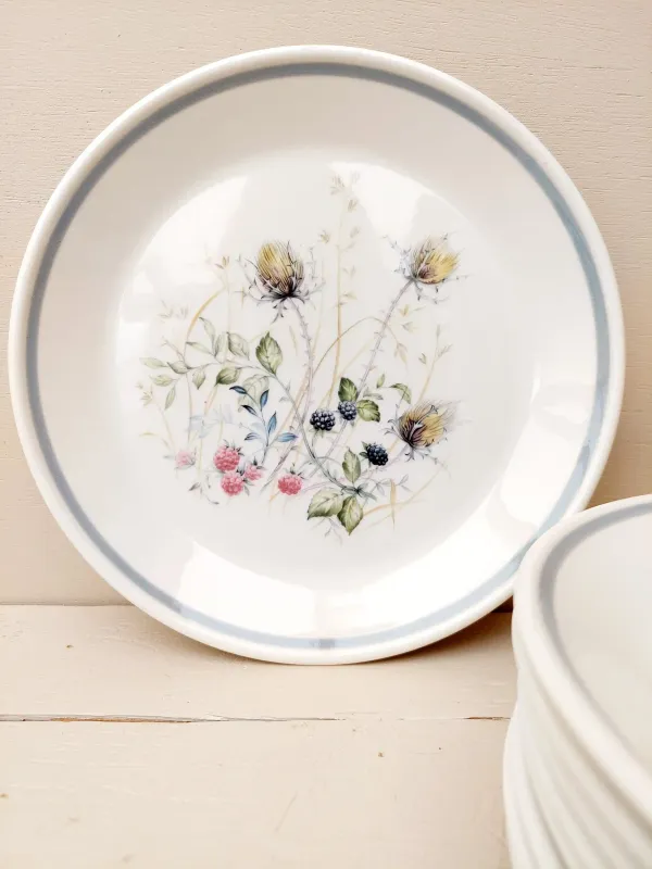 Dinerbord Royal Albert Wild Briar, 22 cm