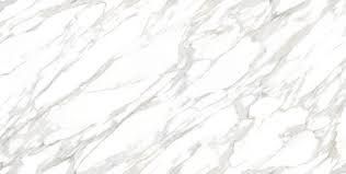 ASCALE DUCAL GOLD