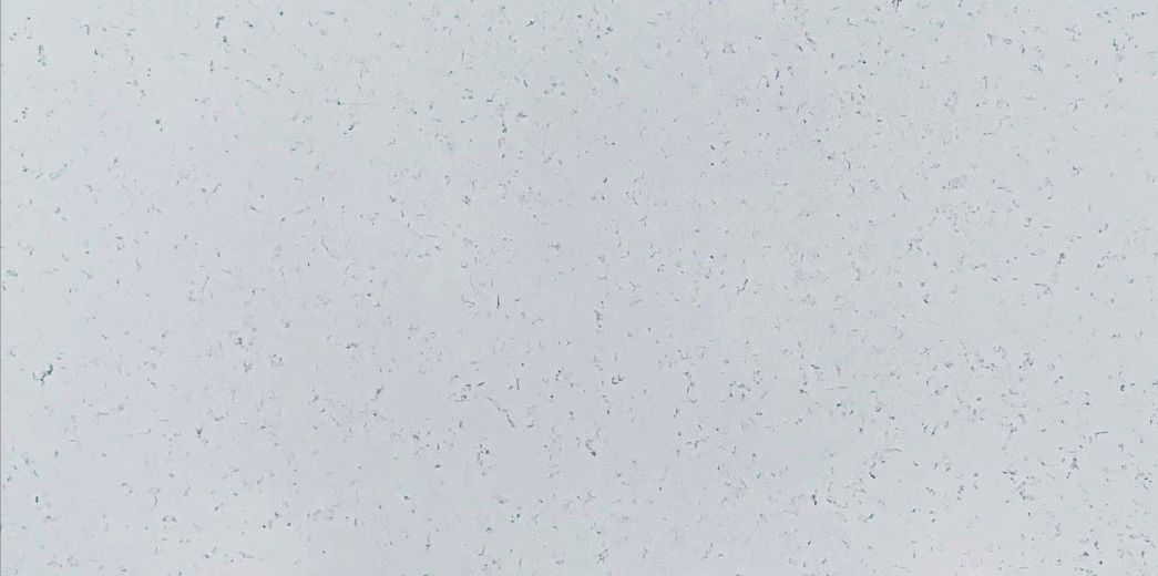 VALUE LINE CARRARA PLUMA QUARTZ