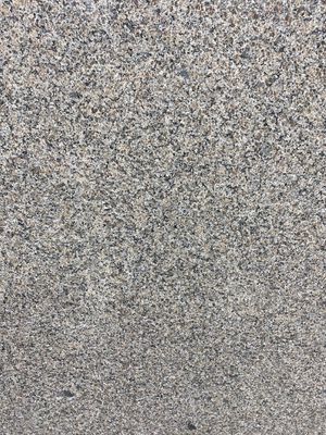 VALUE LINE VALLE NEVADO GRANITE POLISHED