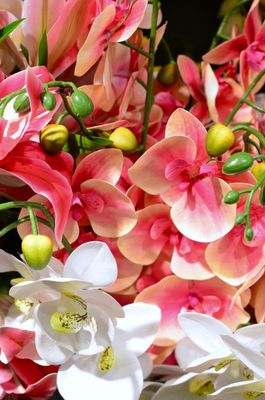 Exotic & Unique Arrangements