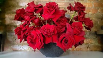 Red Roses