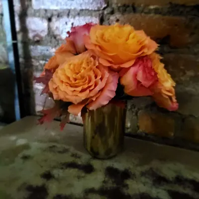 Special 55 Special 55