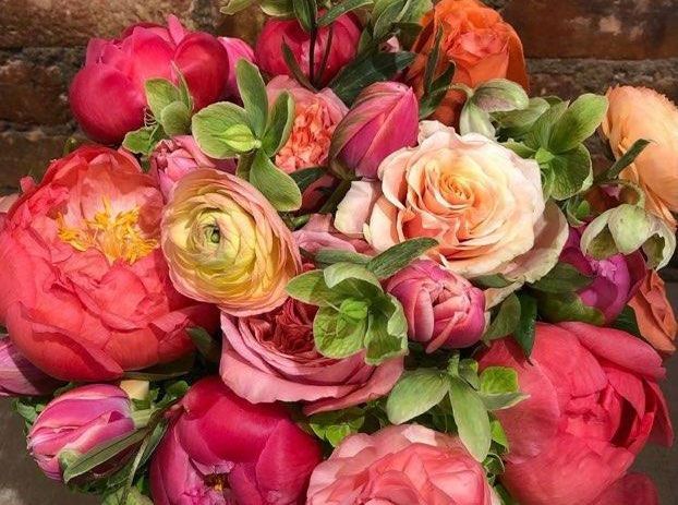 Peonies