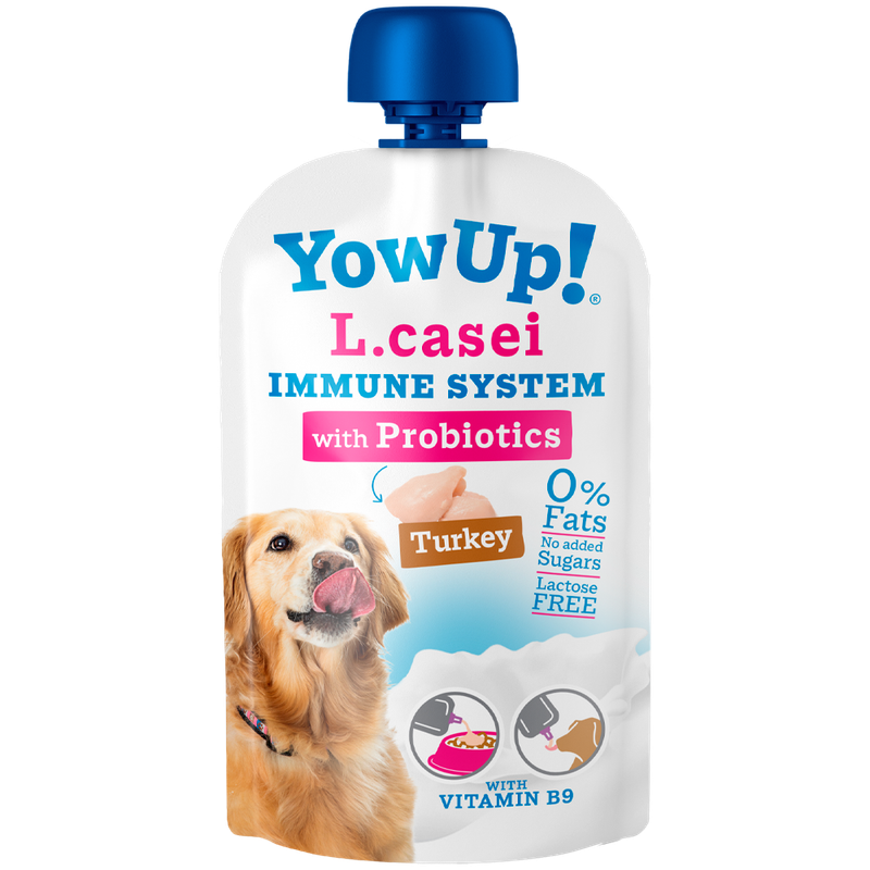 YOW UP L.CASEI PAVO