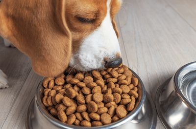 Croquetas