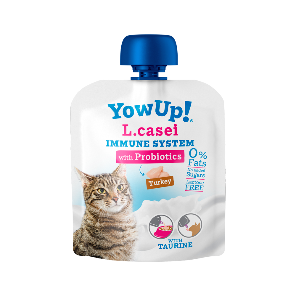 YOW UP L.CASEI PAVO