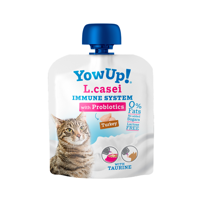 YOW UP L.CASEI PAVO
