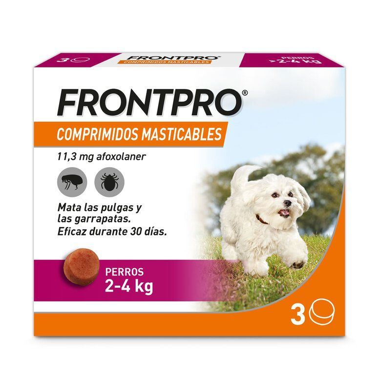 FRONTPRO COMPRIMIDOS MASTICABLES