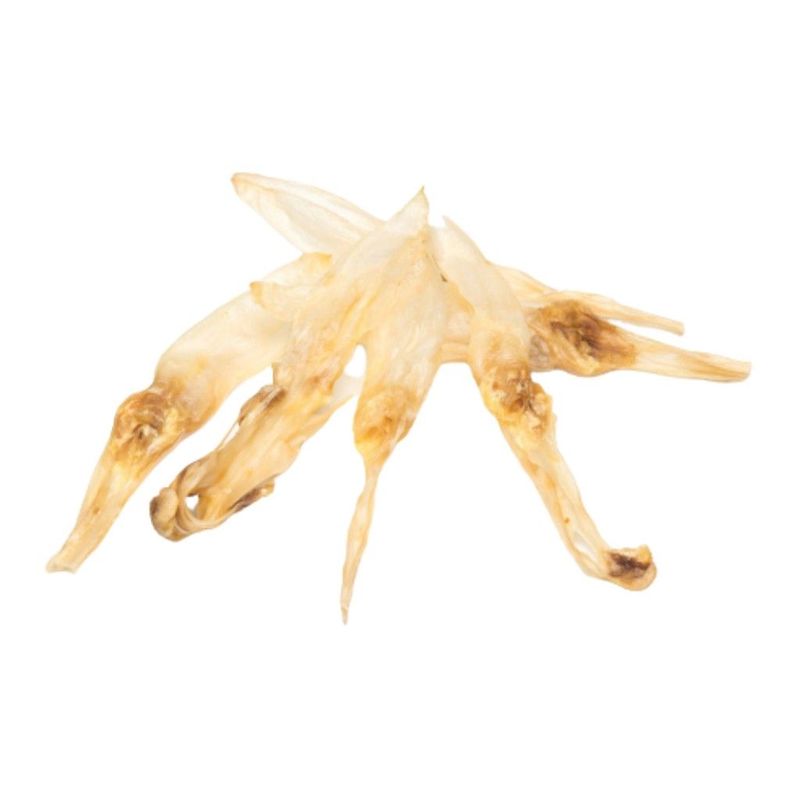 OREJA DE CONEJO SIN PELO 6PCS