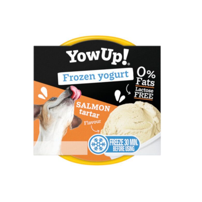 YOWUP FROZEN YOGURT SALMÓN