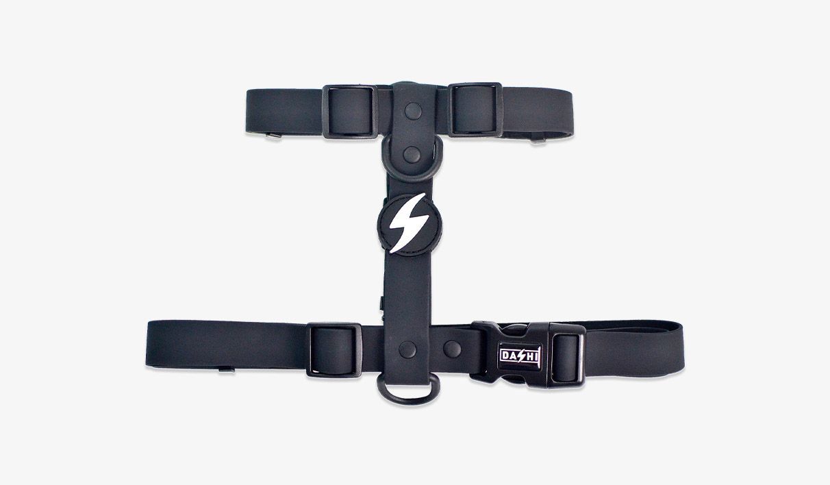 DASHI COLORFLEX ARNÉS TPU NEGRO
