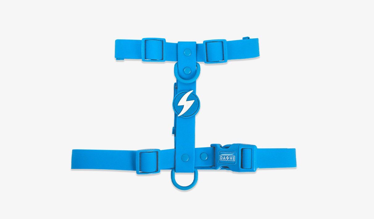 DASHI COLORFLEX ARNÉS TPU AZUL