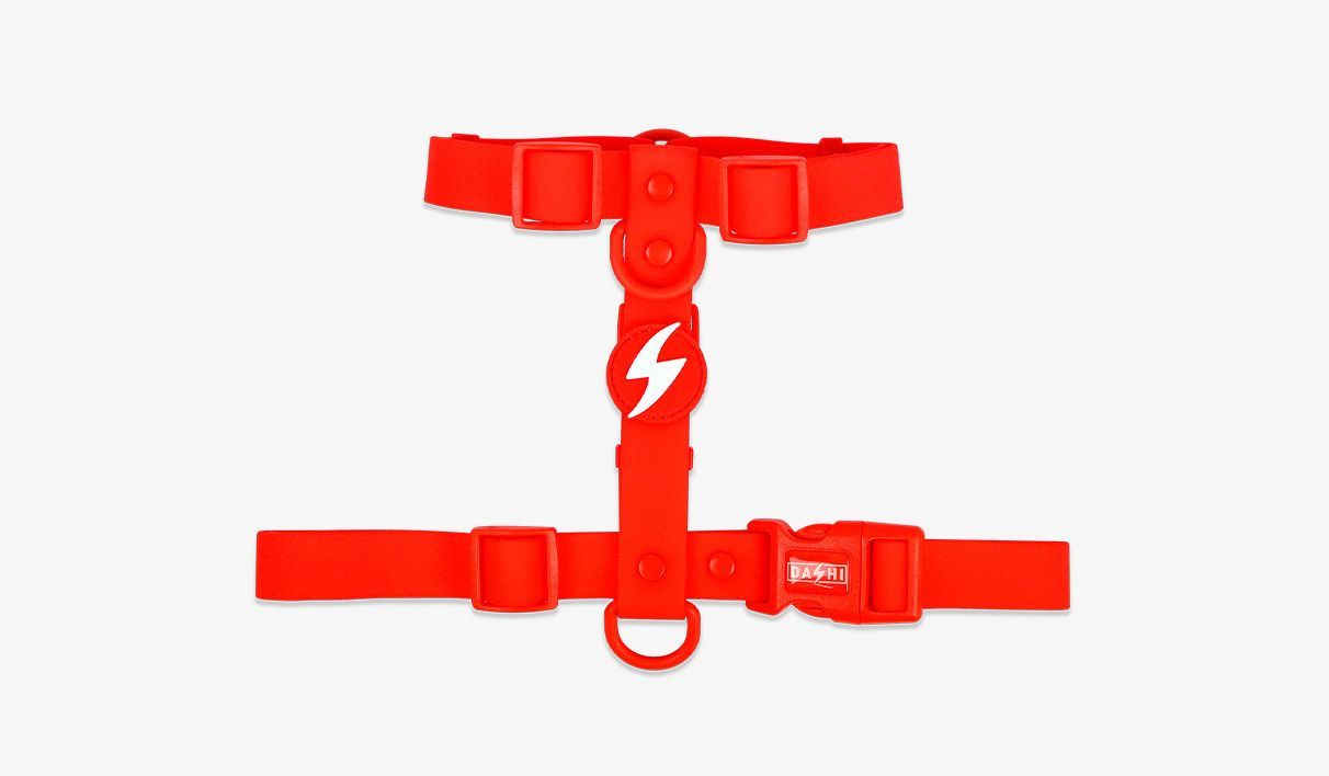 DASHI COLORFLEX ARNÉS TPU ROJO