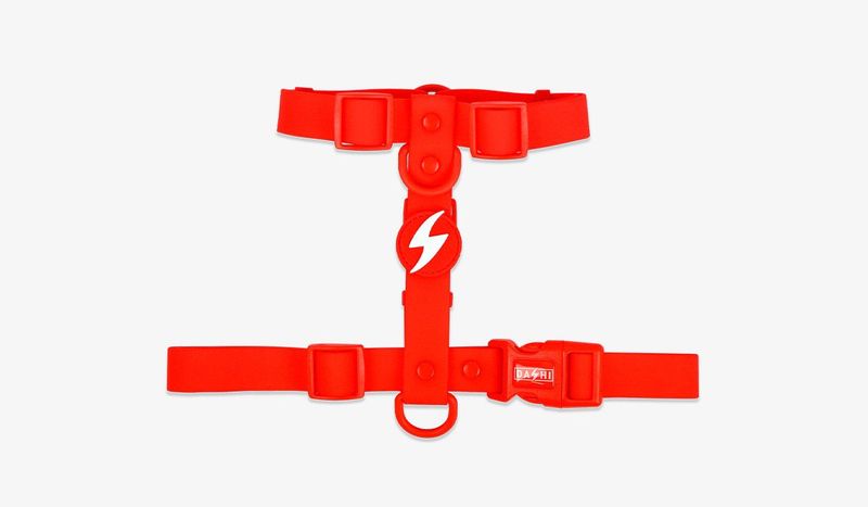 DASHI COLORFLEX ARNÉS TPU ROJO
