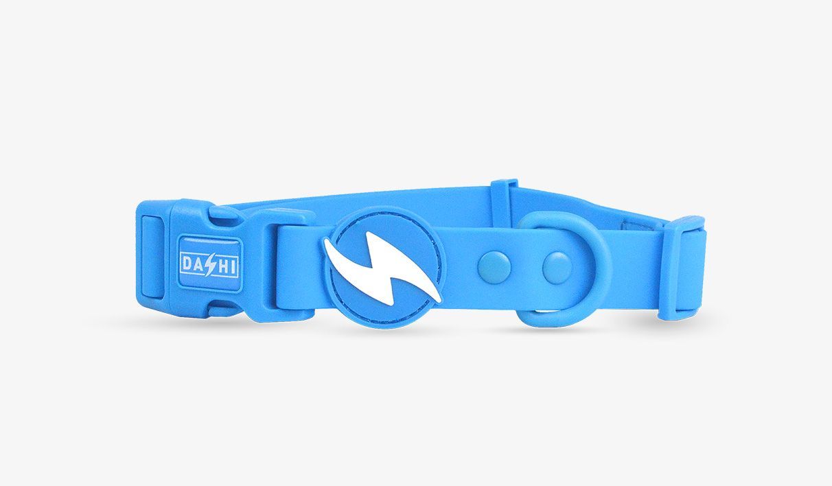 DASHI COLORFLEX COLLAR AZUL