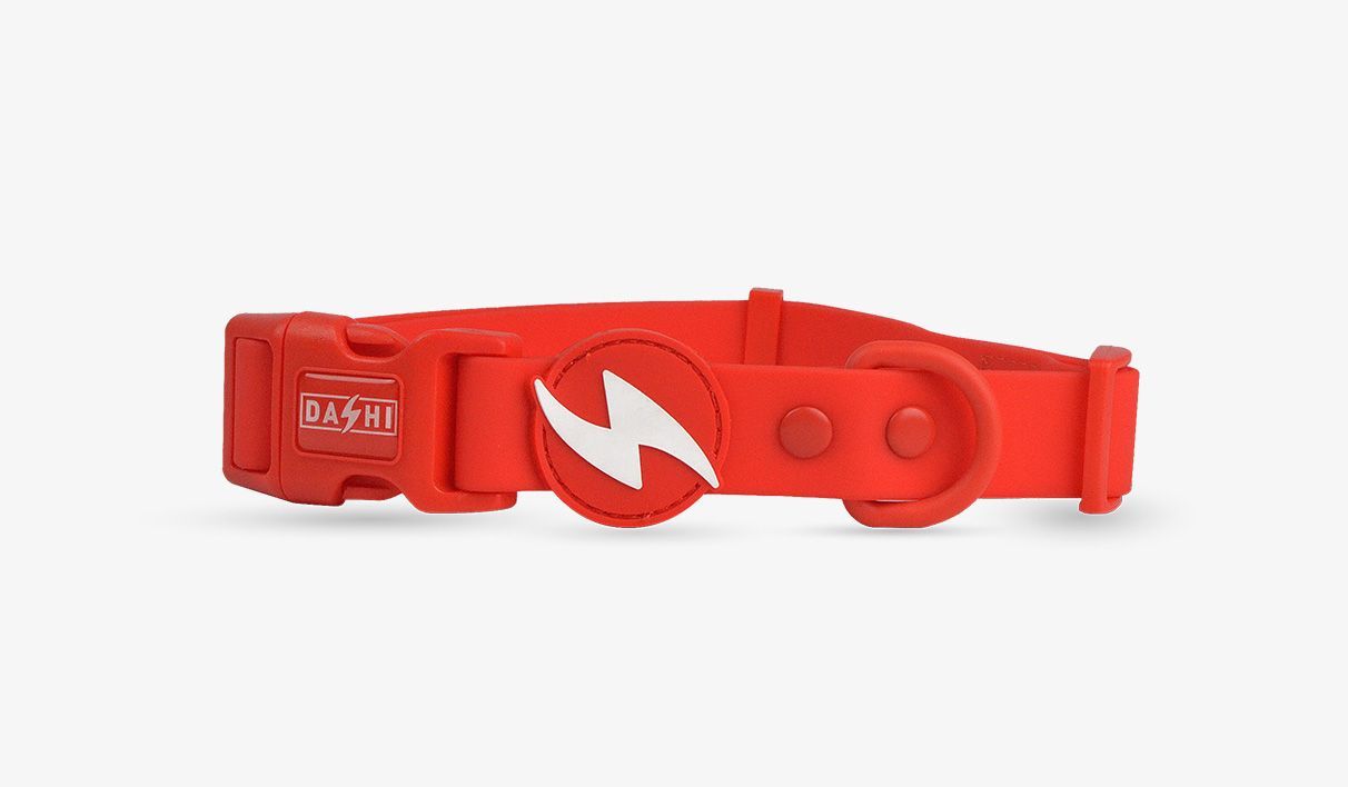 DASCHI COLORFLEX COLLAR TPU ROJO