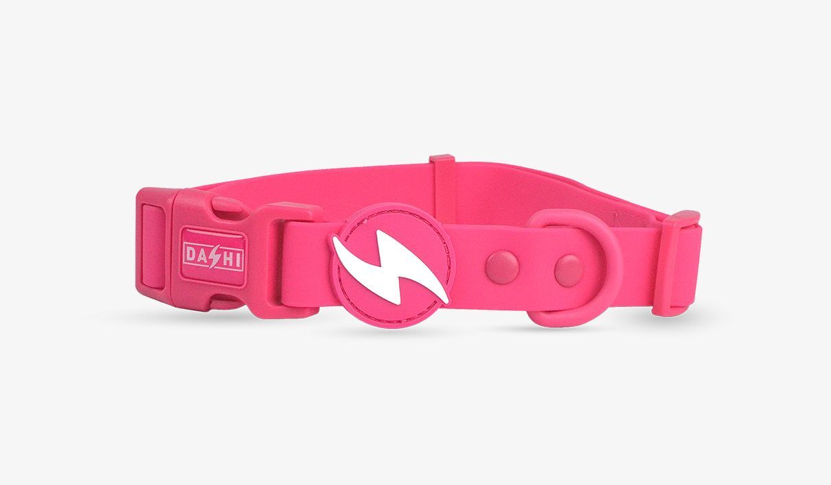DASHI COLORFLEX COLLAR TPU ROSA