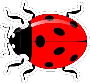 Cute Lady Bug Sticker