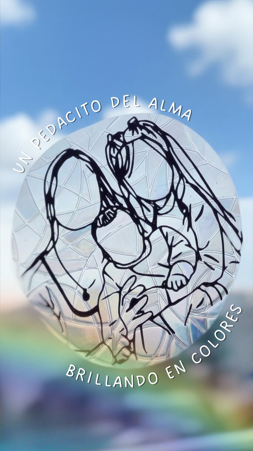 FOTO ARCOÍRIS / vinilo atrapasol ilustrado