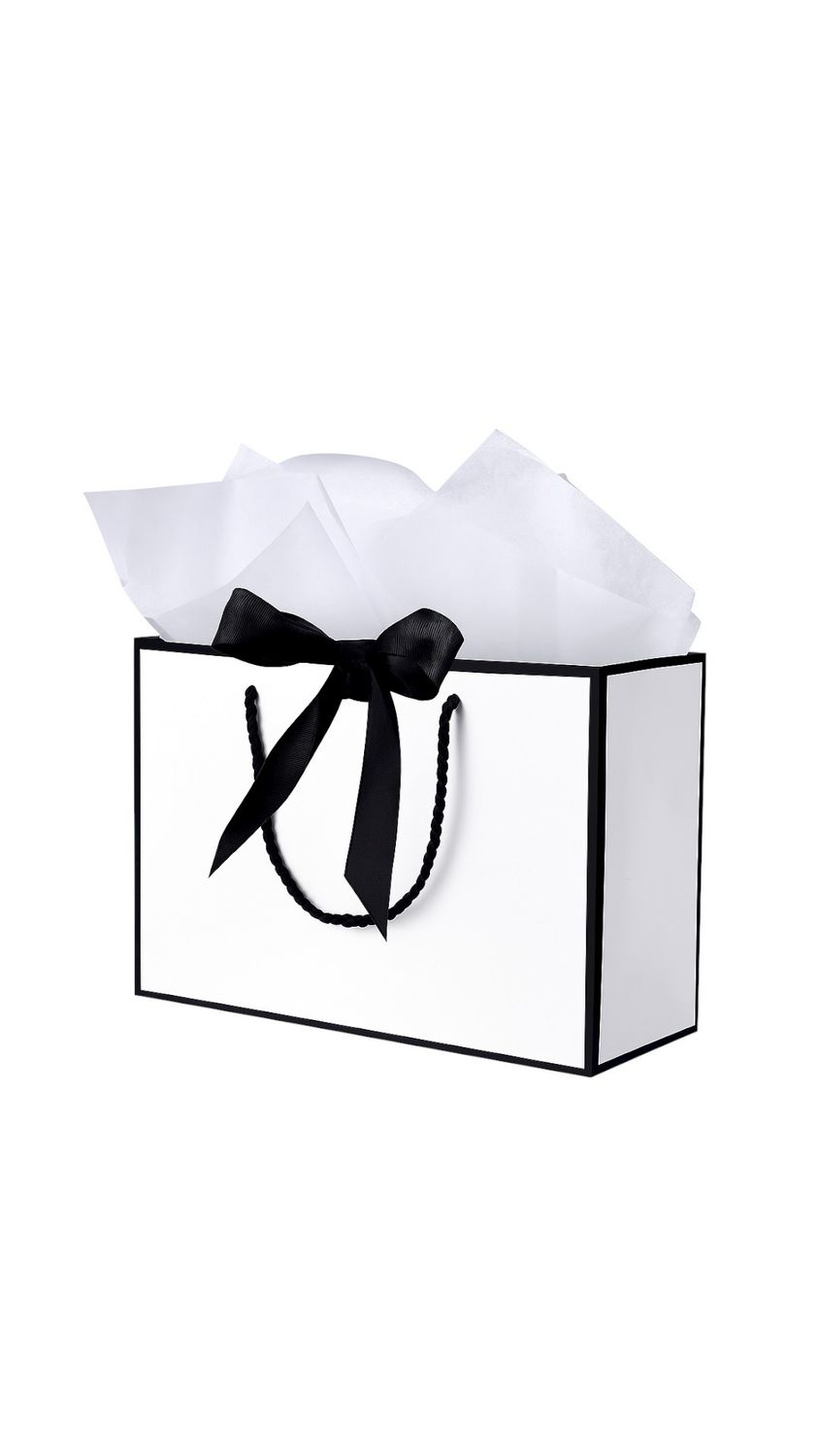small luxe gift bag