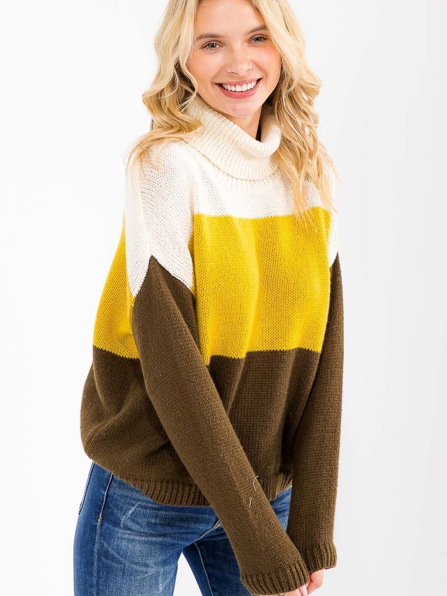 Colorblock Long Sleeve Turtleneck