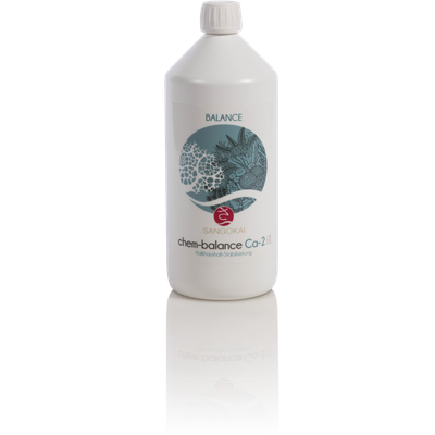 BALANCE Ca-2 1000 mL