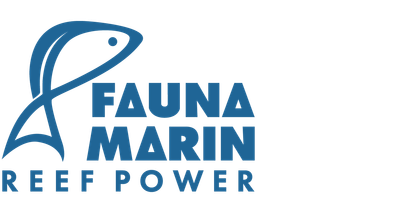Fauna Marin