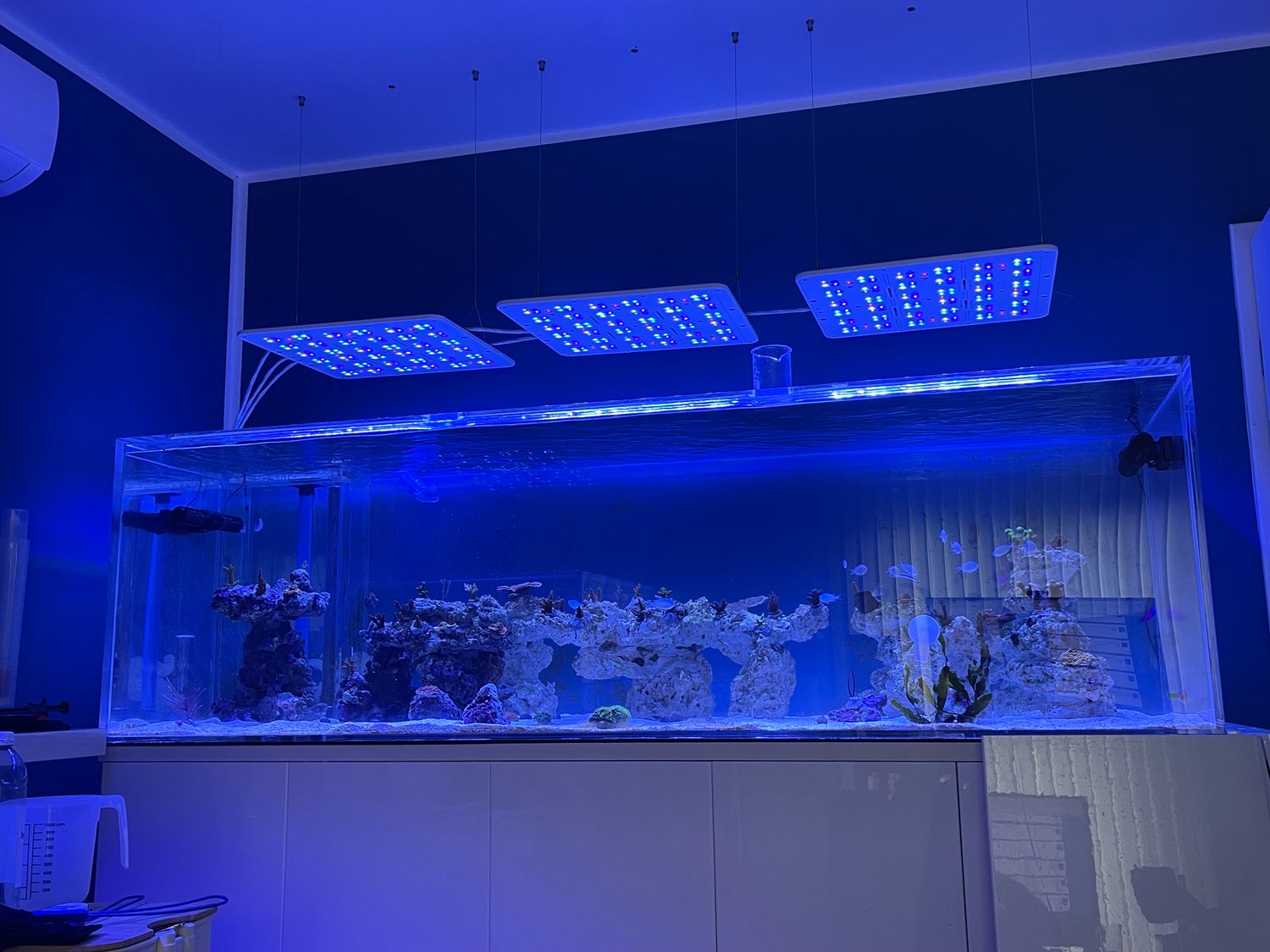 SCHURAN PLEXIGLAS Becken 2000 x 700 x 600 mm GEBRAUCHT