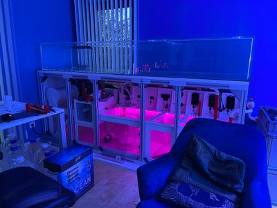 Royal Exclusiv Dreambox Filteranlage mit Vliesfilter 250 cm l x 60 cm t x 80 cm h GEBRAUCHT aber wie NEU