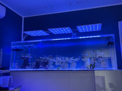 Untrerschrank mit ITSM Profile, Birke Multiplex Platten und IKEA Hochglanz Türen GEBRAUCHT