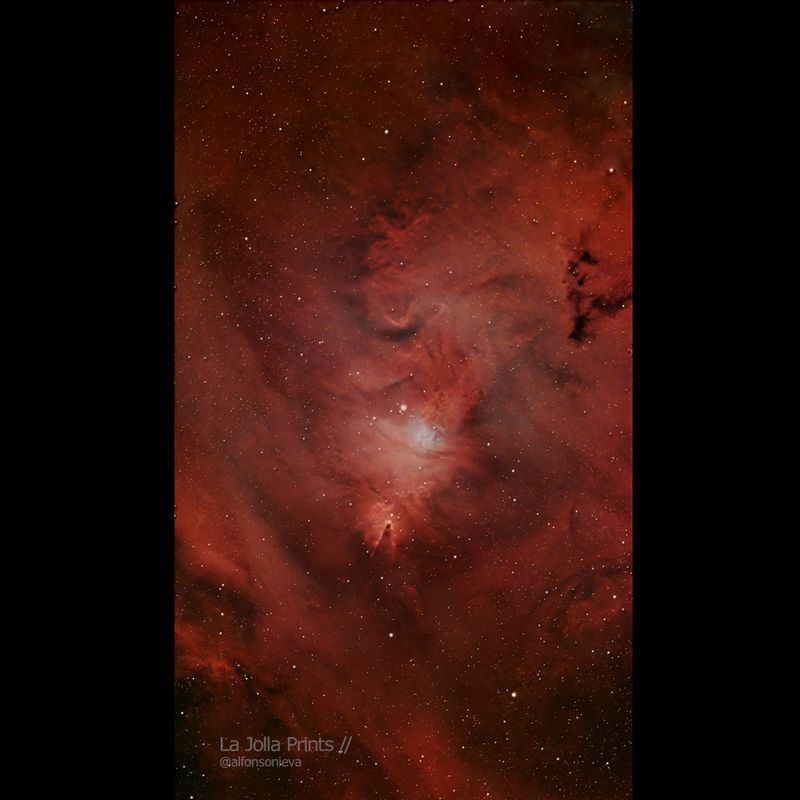 Nebulosa del Cono y el Cúmulo del Árbol de Navidad - NGC 2264