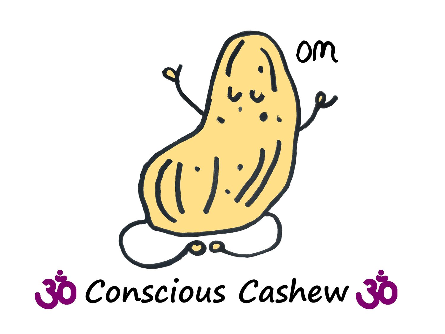 Cashews Raw Small Pieces Insecticide Free