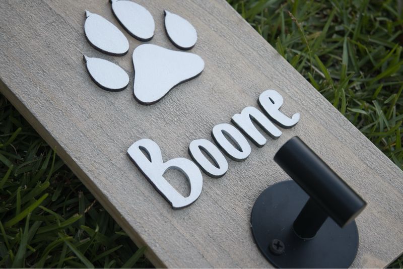 Dog Leash Holder