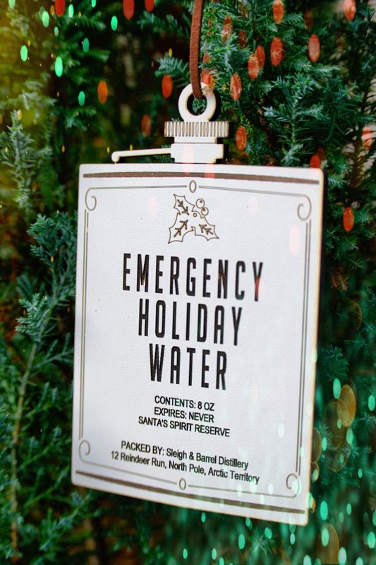 Holiday Water Ornament