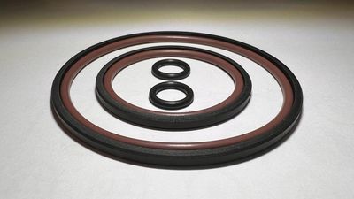 Zestaw uszczelek dla podwójnego VANOSA BMW M52 M54