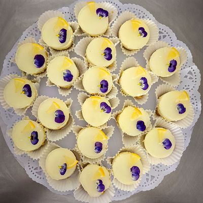 TARTA de Gin Tonic / 24 unidades - catering