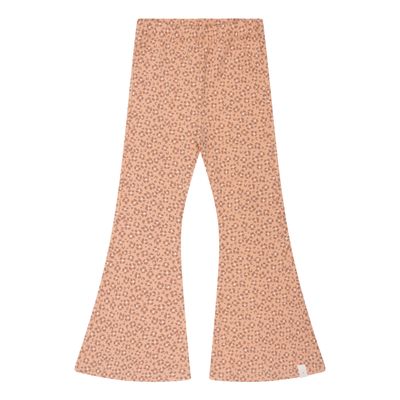 Be flared leopard flower