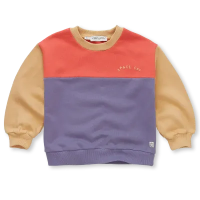 Sweatshirt colourblock