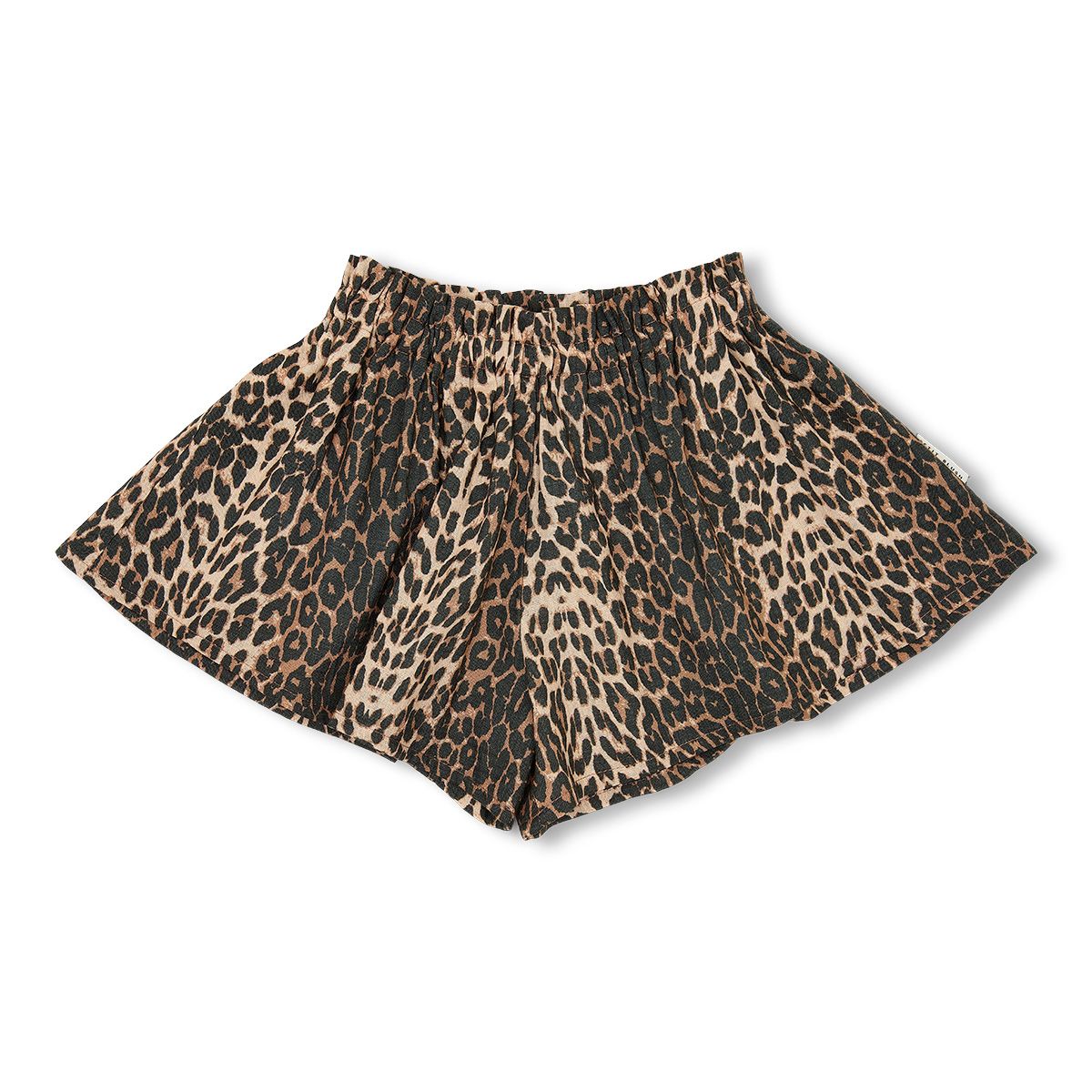 Petit Blush- Ruffle Short - Leopard AOP