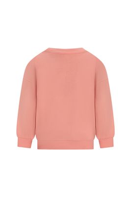 The New Chapter - sweater Billie - Shrimp - Boy - Girl - Unisex - Trui met kleurtjes 
